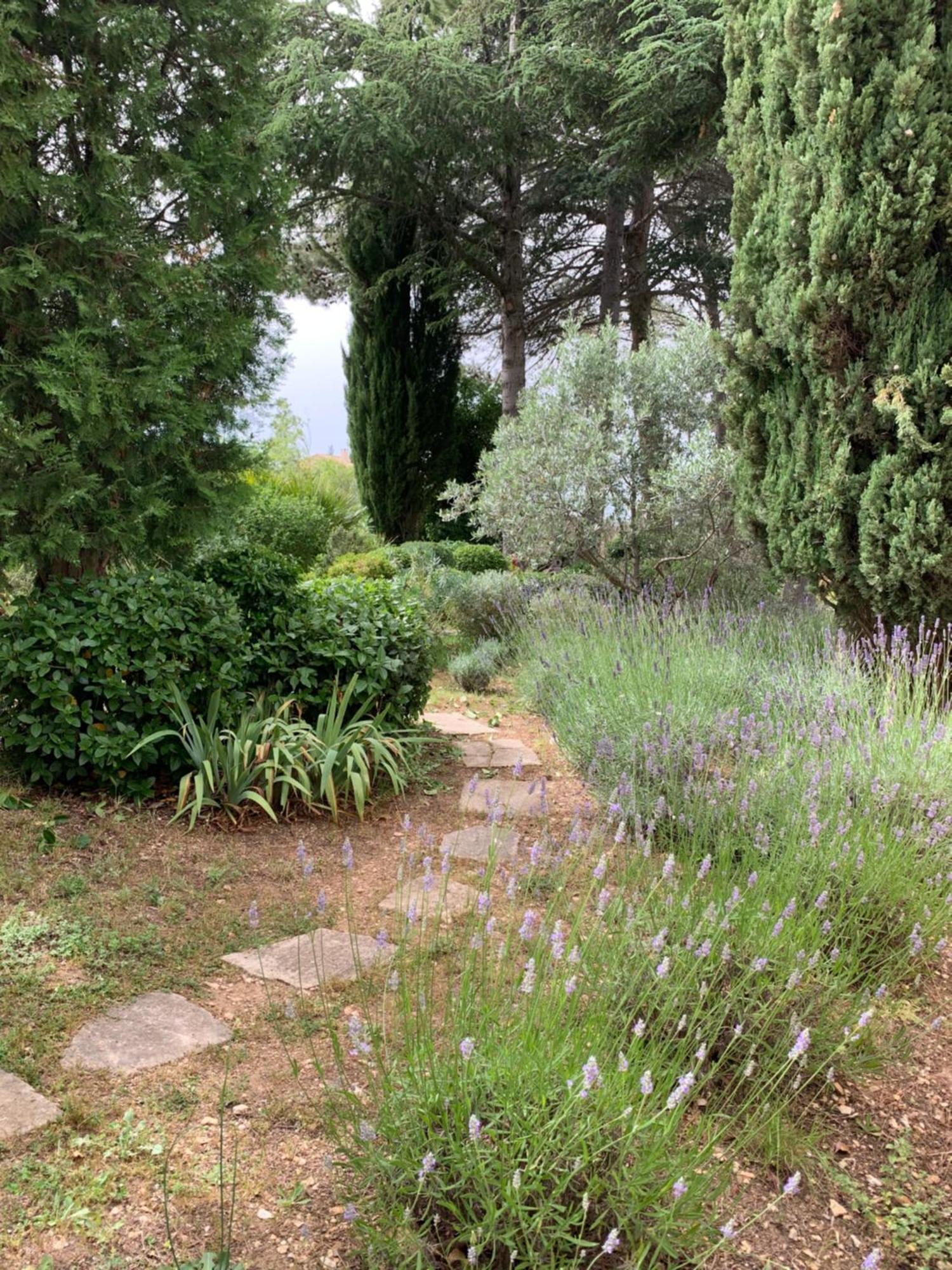 Mazet Leajo Villa Eygalieres  Bagian luar foto